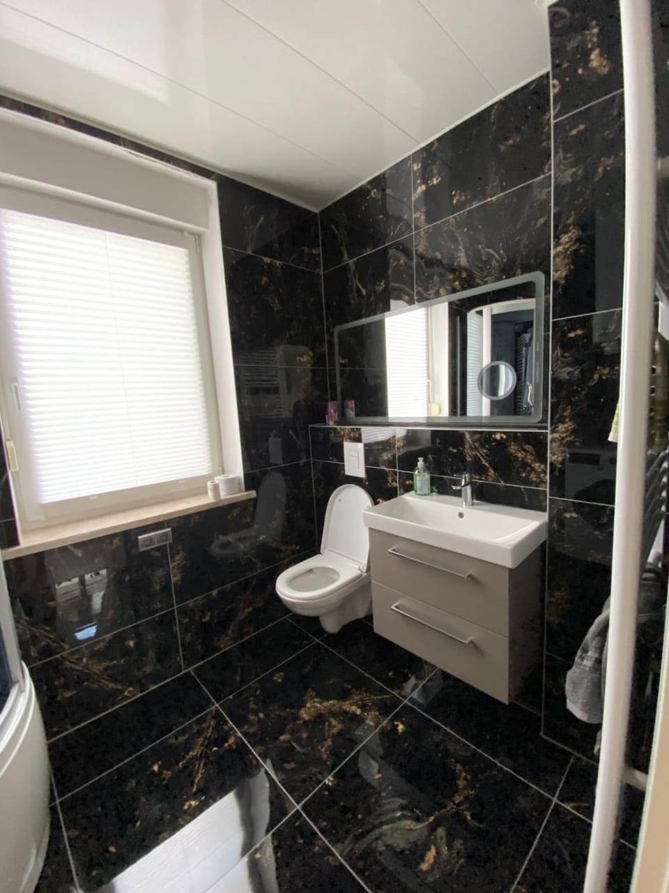 Shower, Toilet