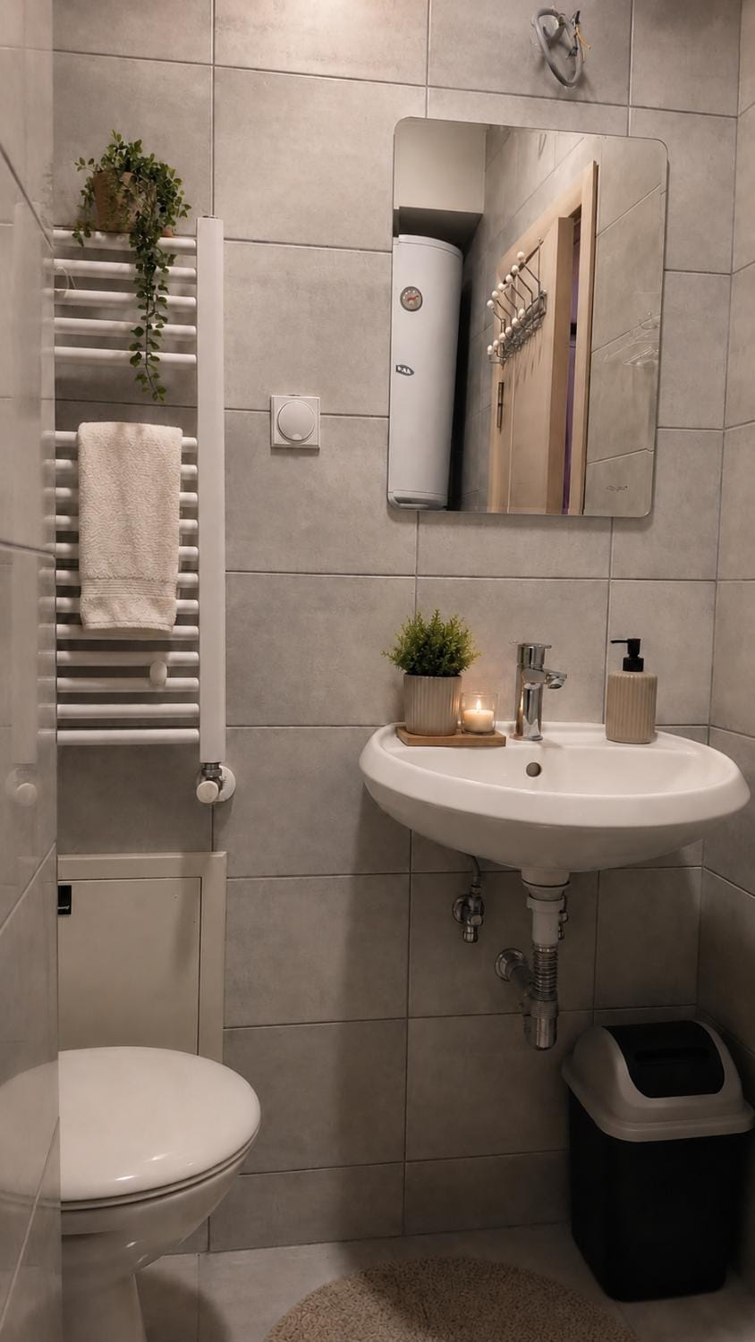 Toilet, Bathroom