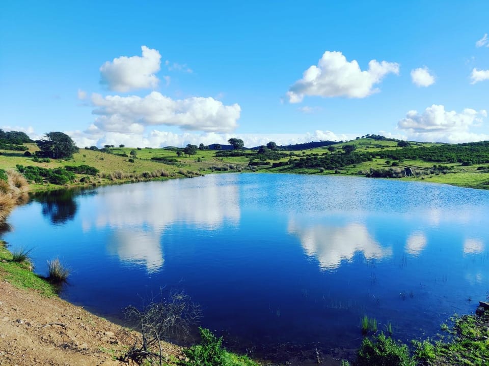 Natural landscape