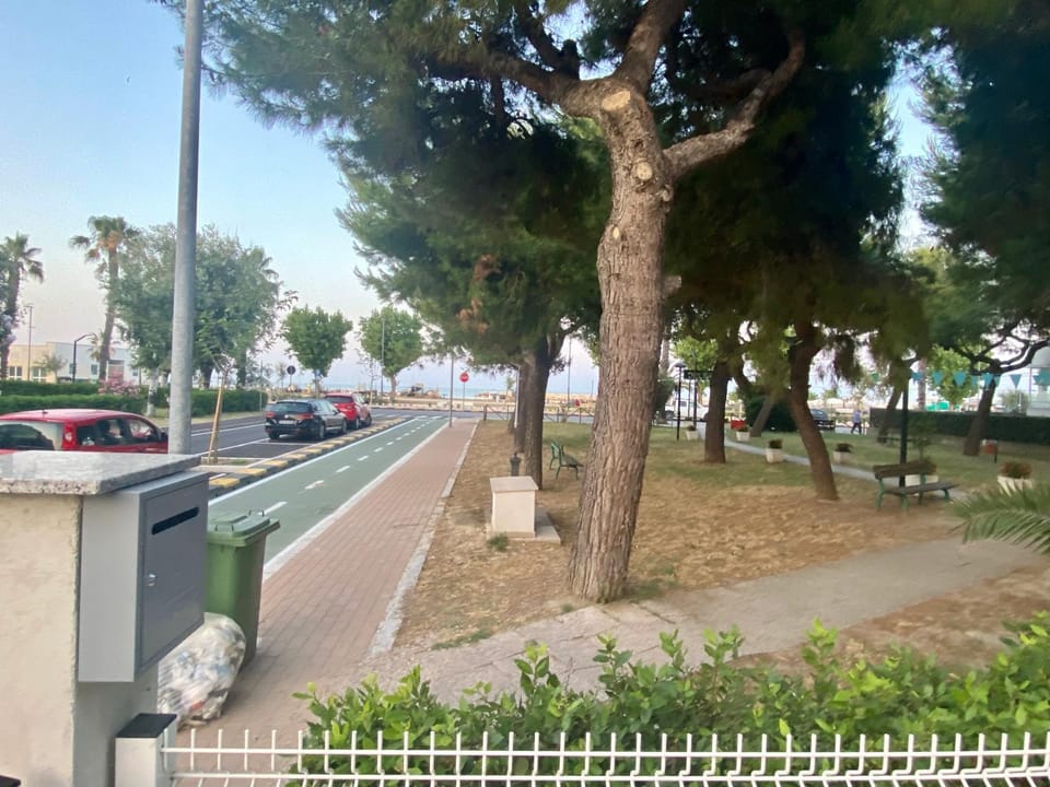 Neighbourhood, Natural landscape, Street view, Parking