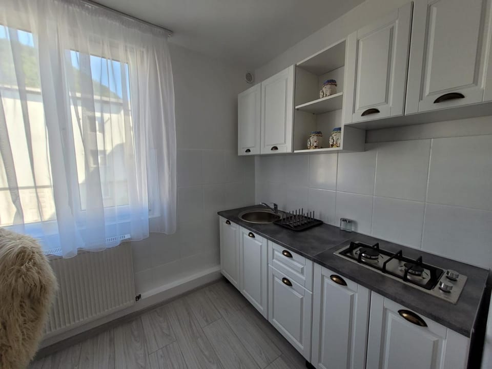 Central Residence Apartment in Romania