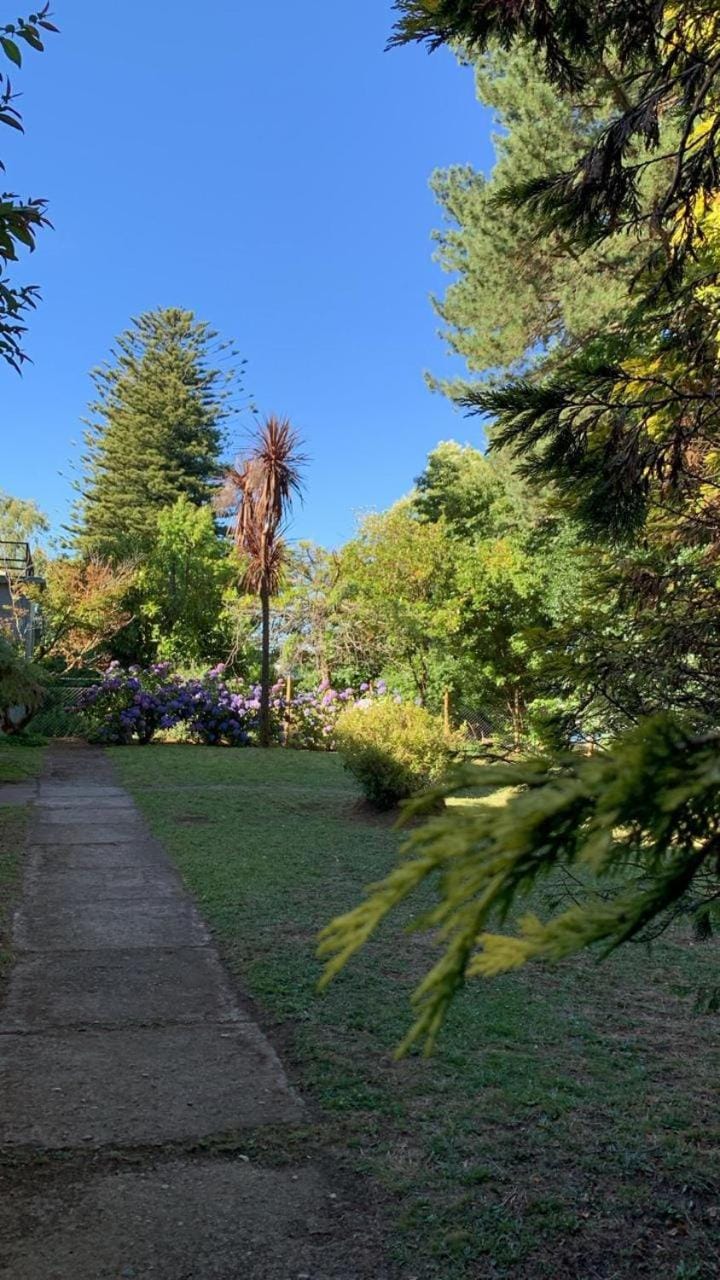 Natural landscape, Garden view