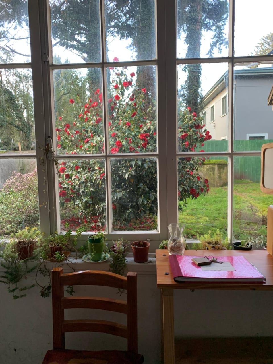 Garden view