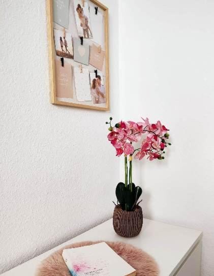 50 qm Ferienwohnung für 4 Personen, Monteure oder Geschäftsreisende, Smart-TV, WLAN, separater Eingang, 24 Std Check-in, Doppelbett, 2 Schlafsofa, 50 m bis zum Schlosspark, Lebensmittelgeschäfte in der Nähe Apartment in North Rhine-Westphalia