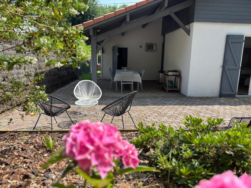 Patio, Garden, Garden view