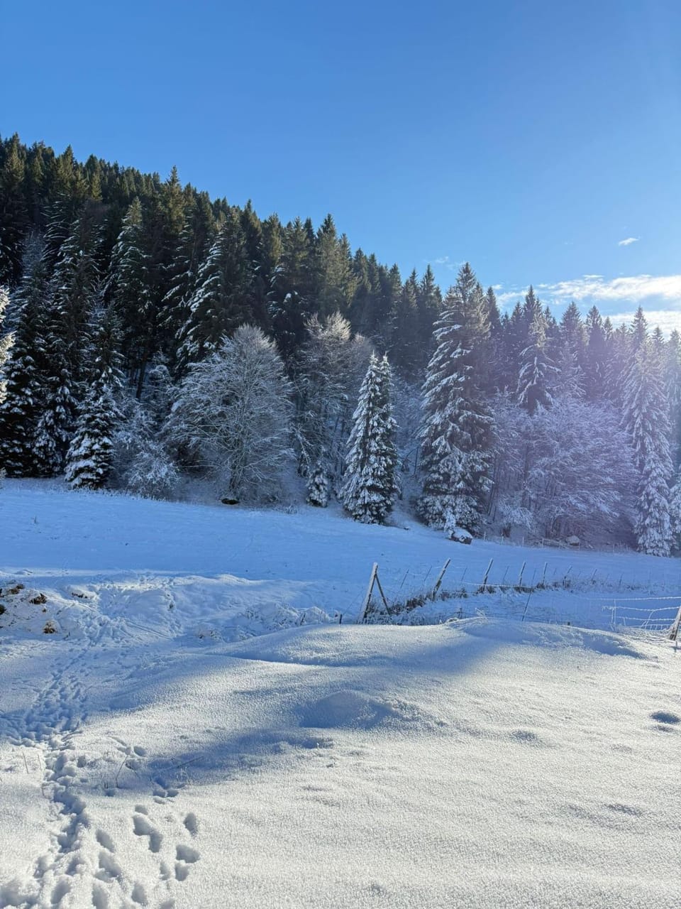 Natural landscape, Winter