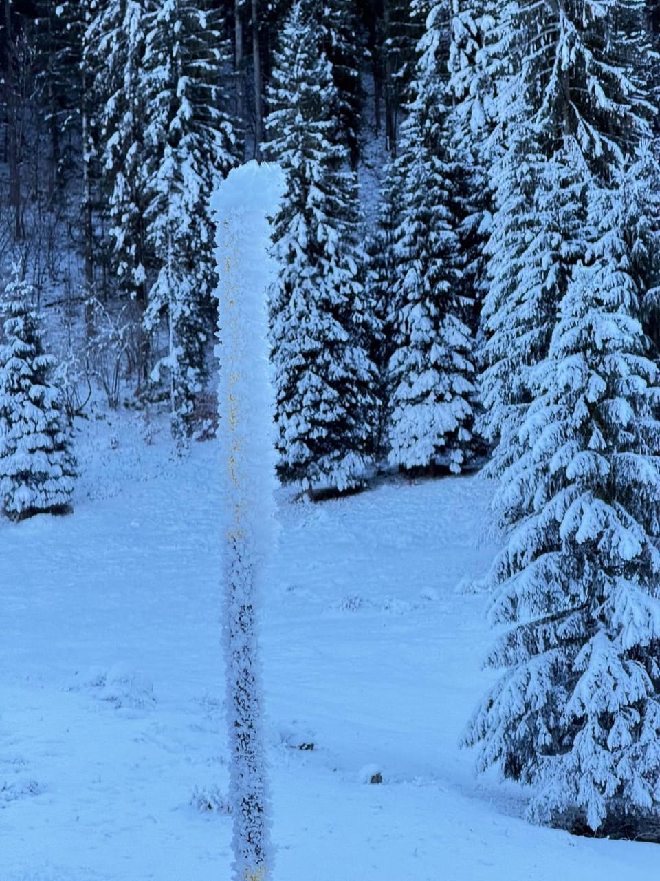 Natural landscape, Winter