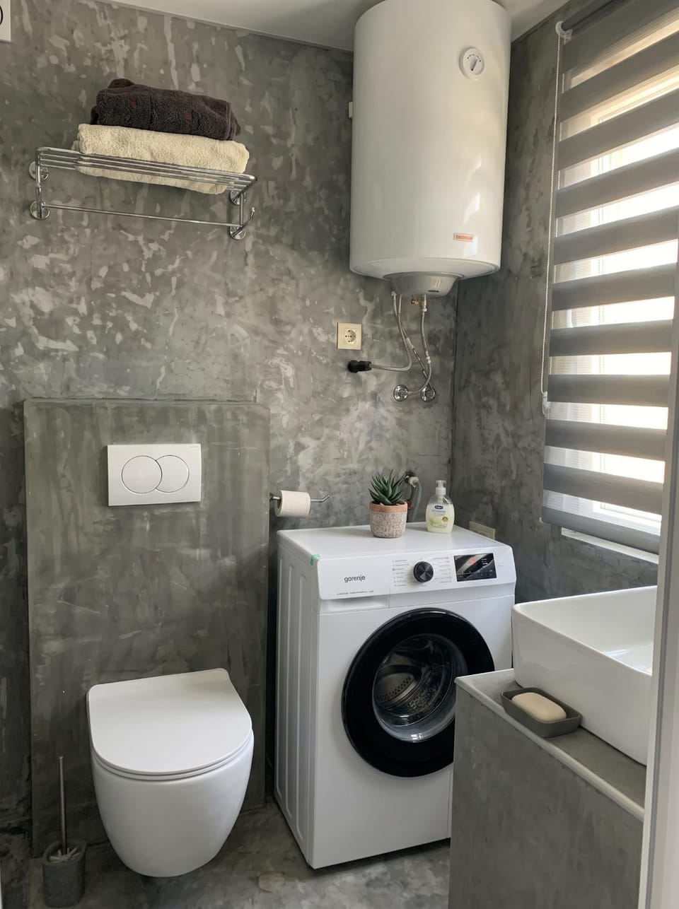 Toilet, washing machine