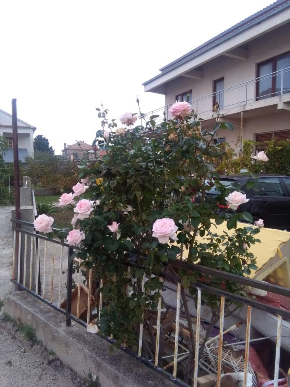 Gajeta Apartment in Murter