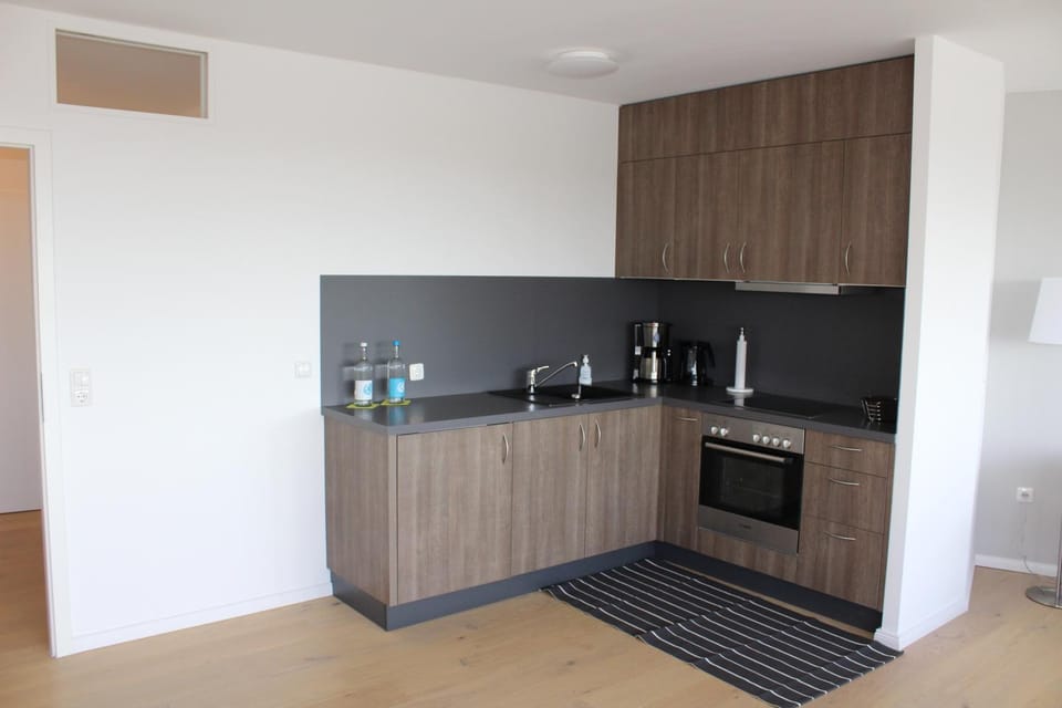 Kitchen or kitchenette, Decorative detail, pet friendly, stove