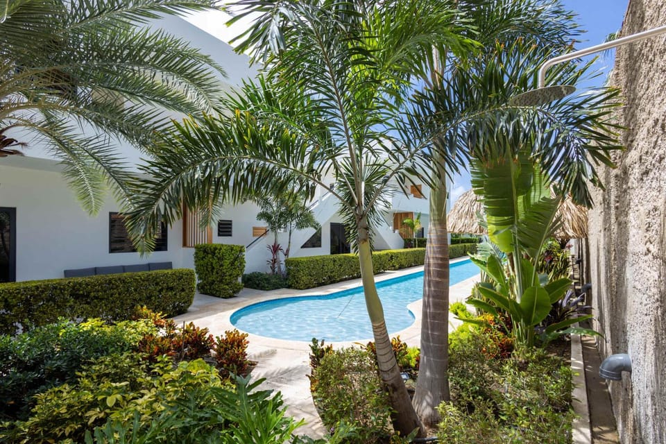Garden, Garden view, Pool view