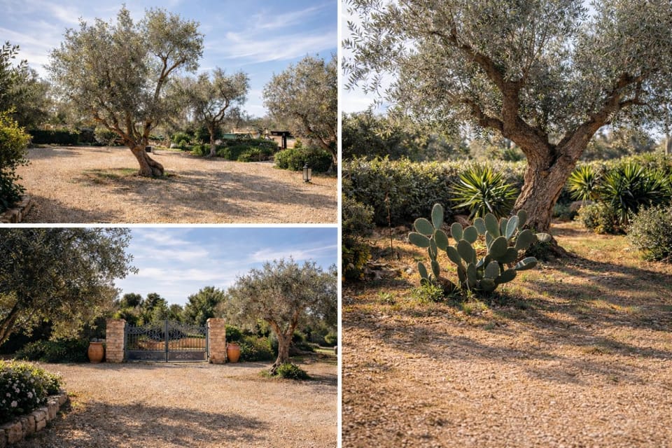 Day, Natural landscape, Garden view, Parking