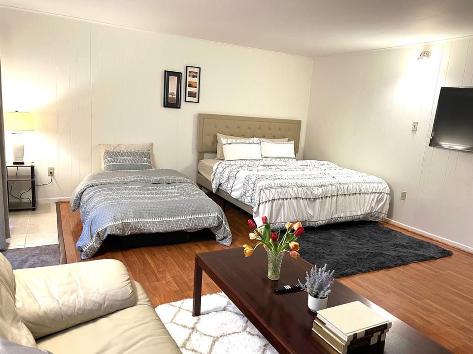 Bed, TV and multimedia