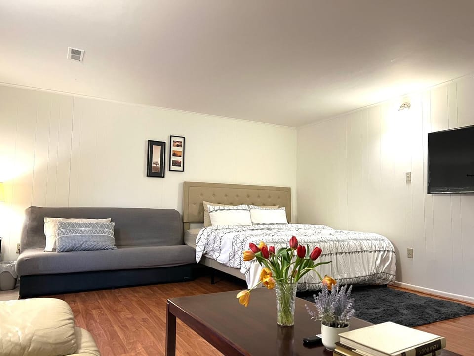 Bed, TV and multimedia