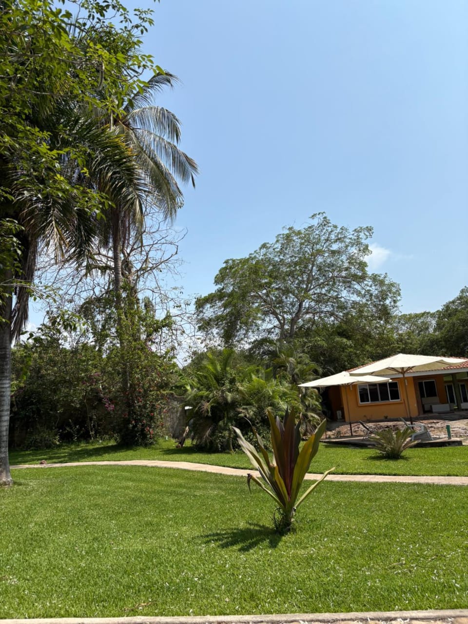 Cabañas la Granja Rincón de Guayabitos Apartment in State of Nayarit