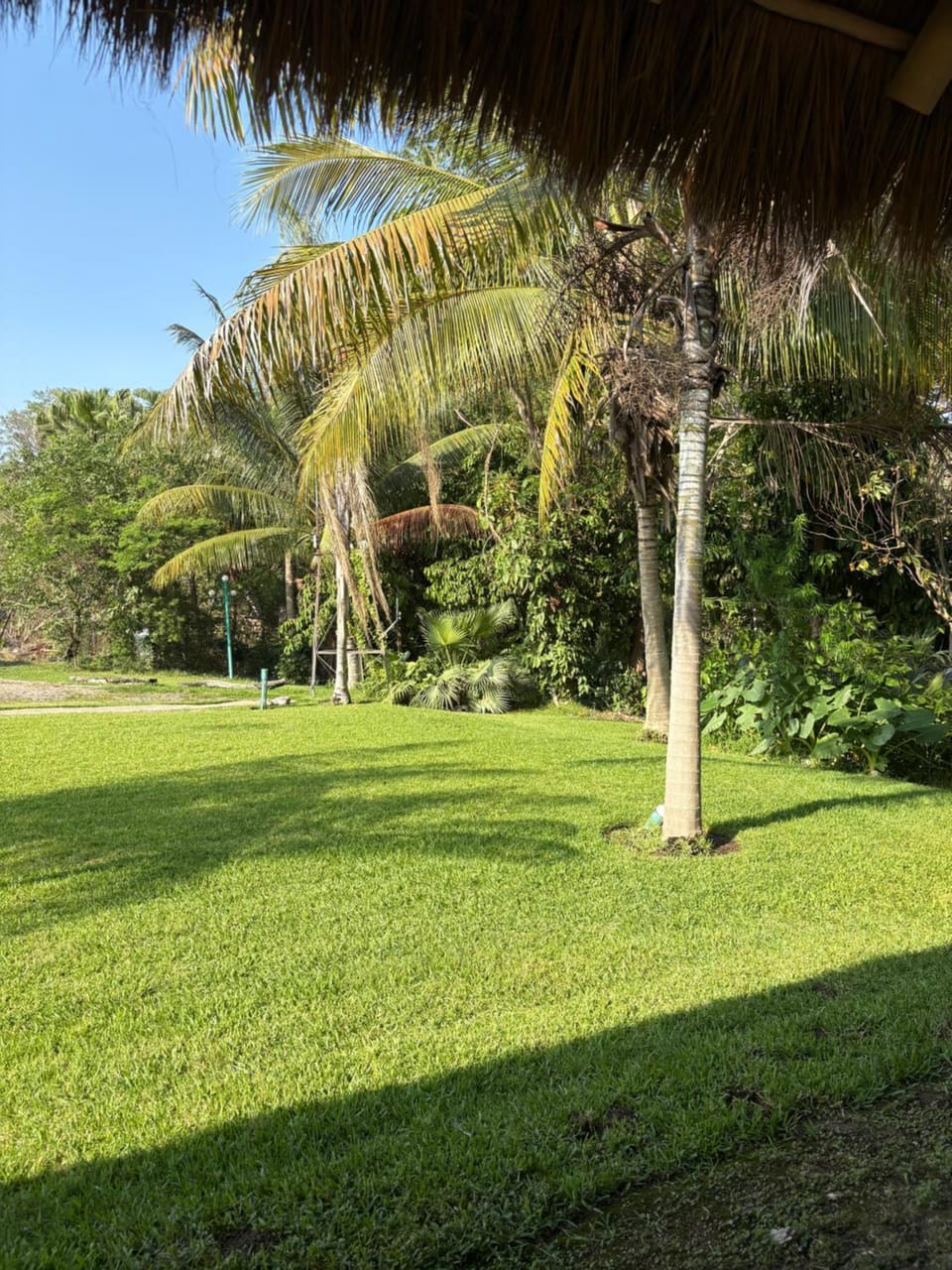 Cabañas la Granja Rincón de Guayabitos Apartment in State of Nayarit