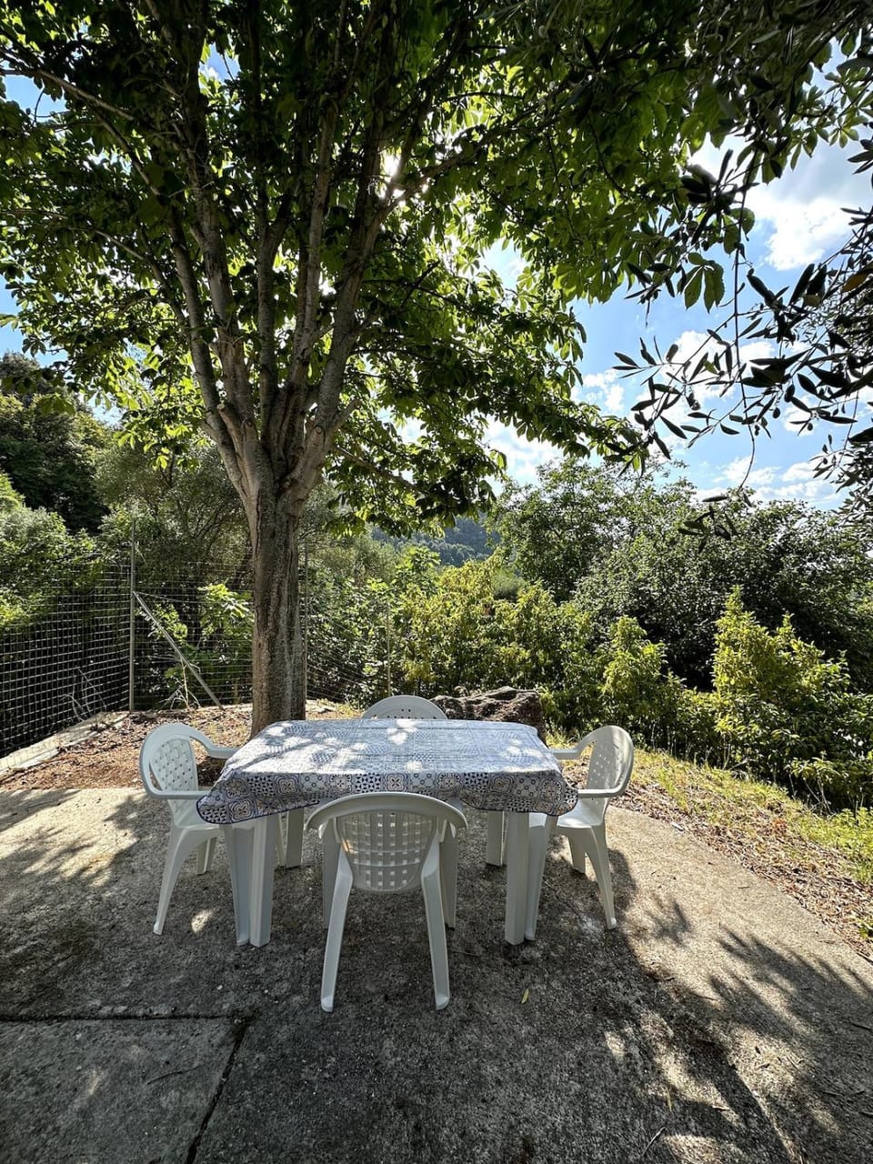 La Casina in the Orange Grove House in Province of Foggia
