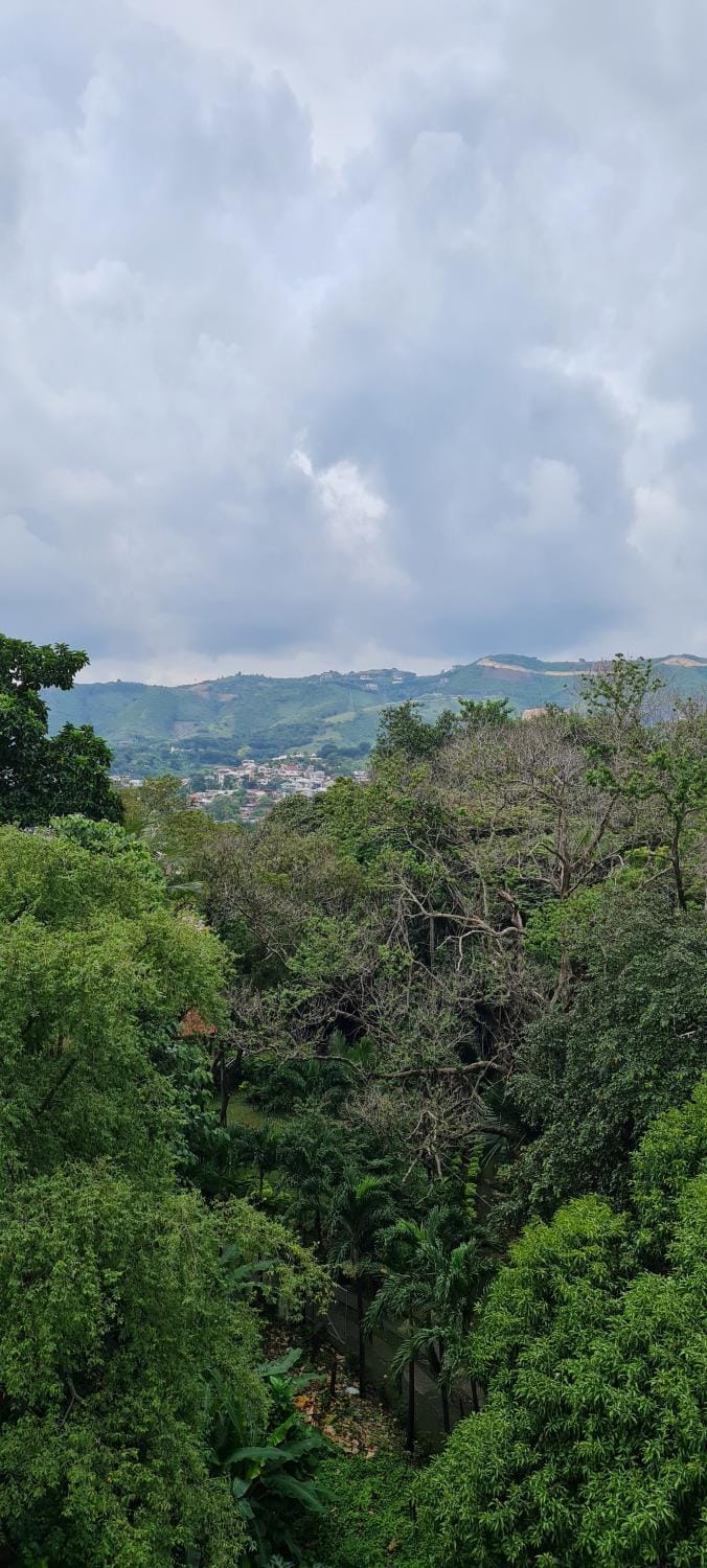 Mountain view