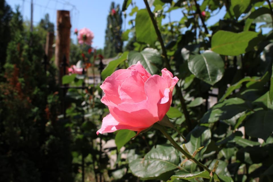 View (from property/room), On site