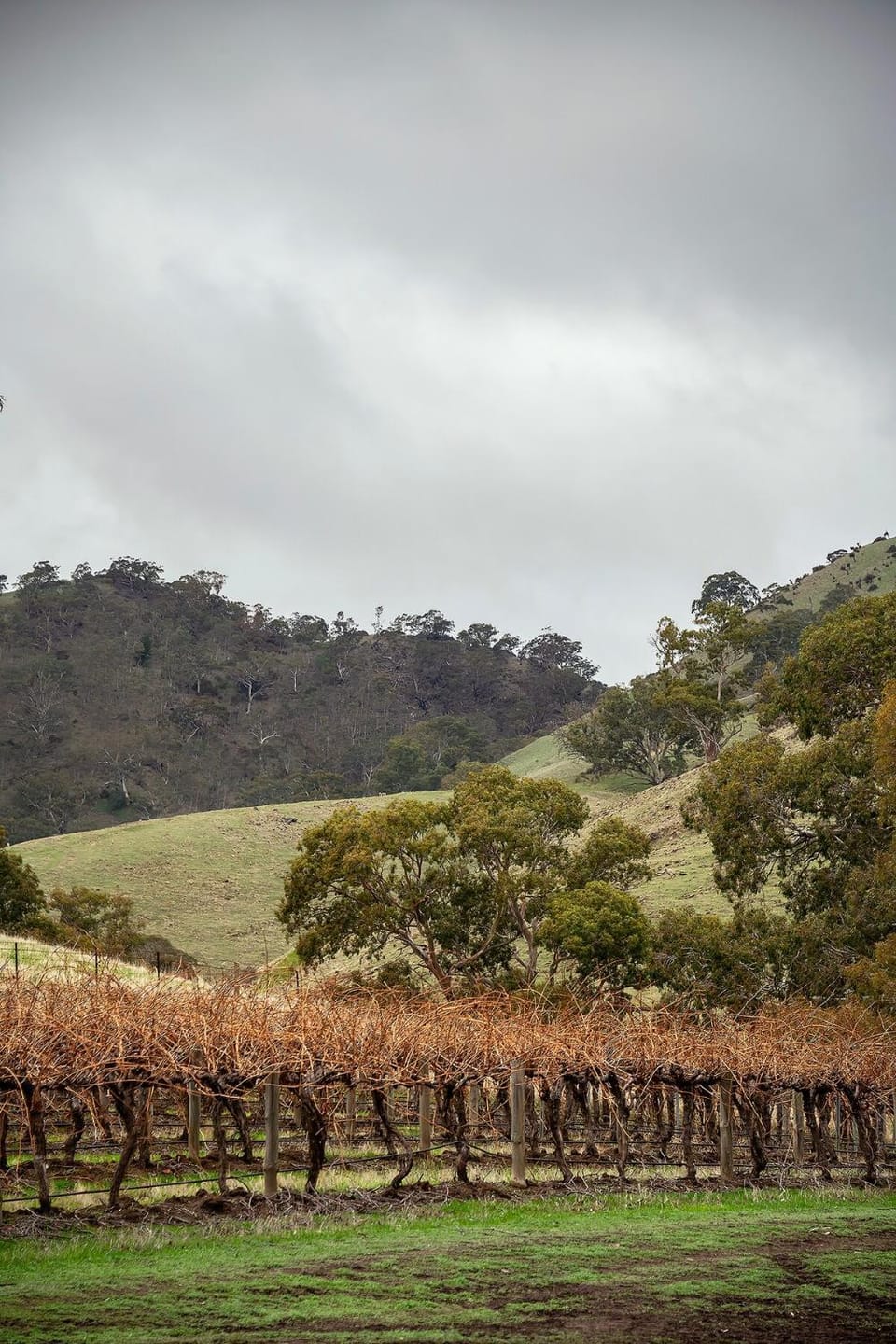 Natural landscape
