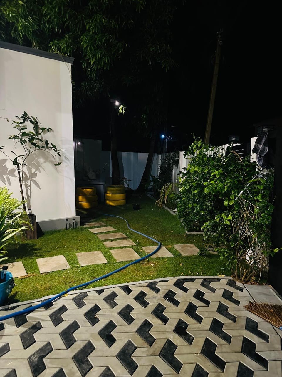 Night, Garden, Garden, Garden view