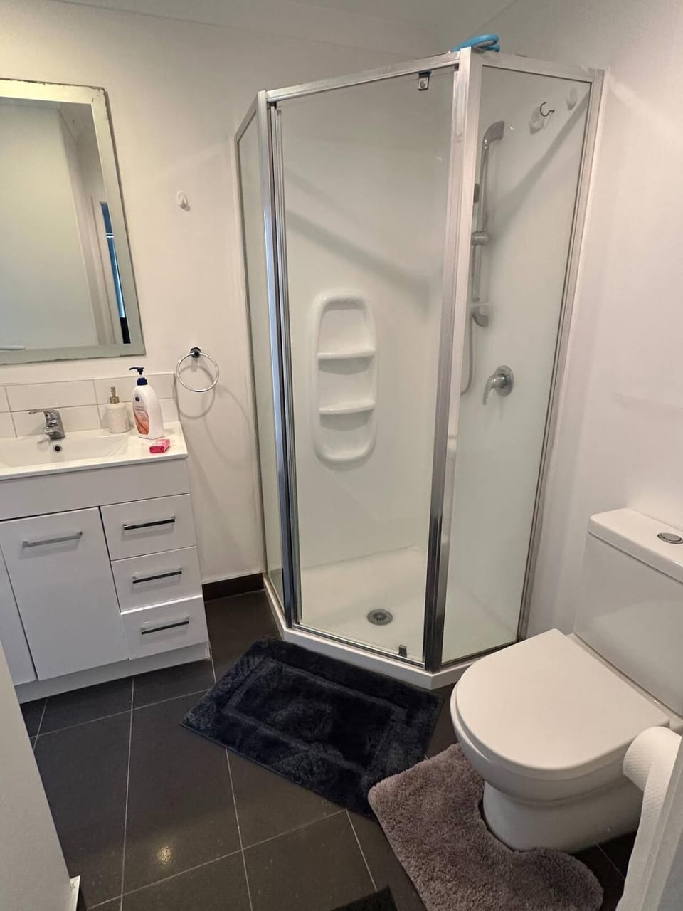 Spacious Home Near Airport House in Auckland