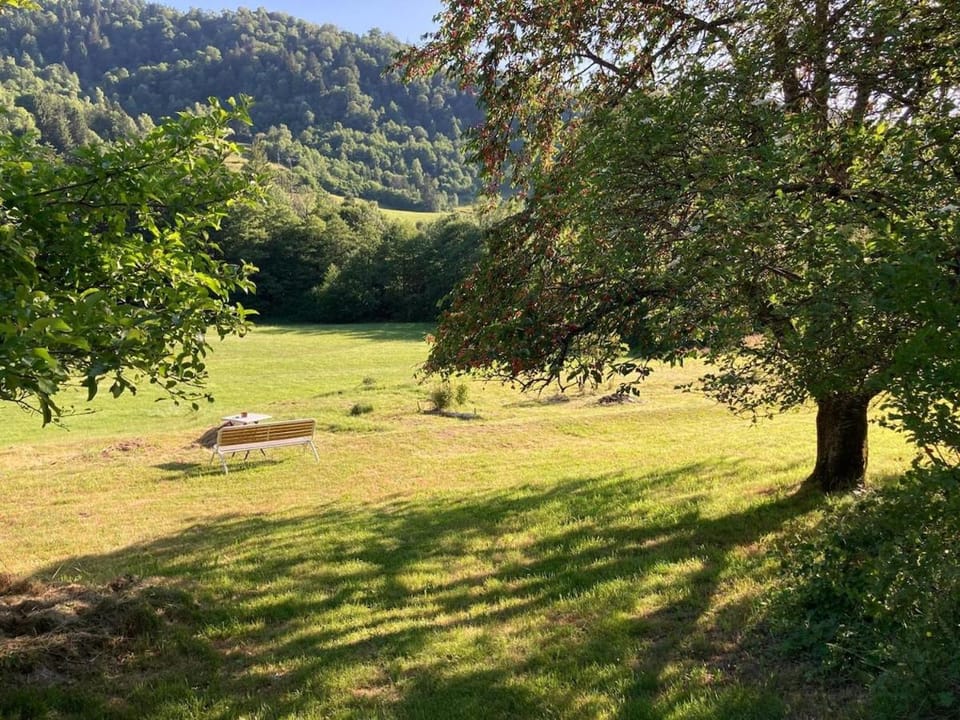 Natural landscape