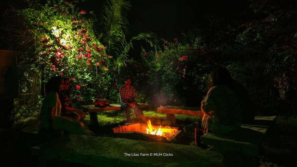Night, Garden, Garden view