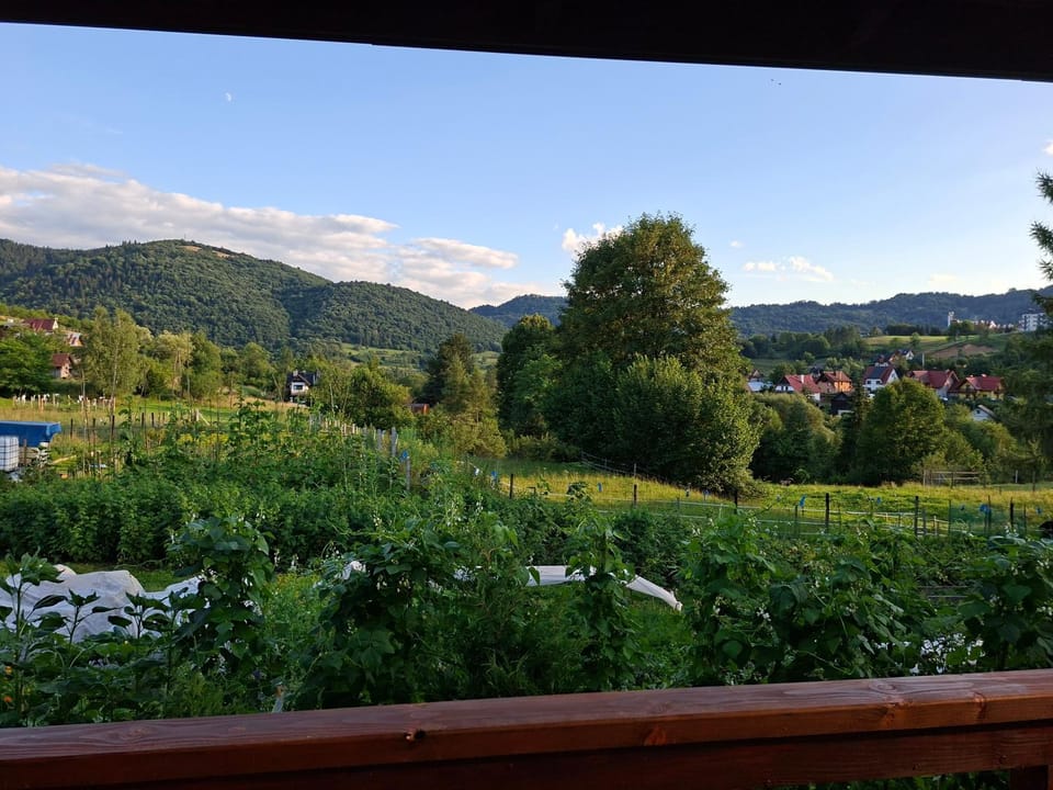 Mountain view, Mountain view