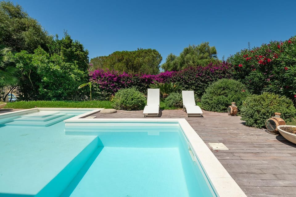 Spring, Day, Garden, Garden view, Pool view, Swimming pool, sunbed