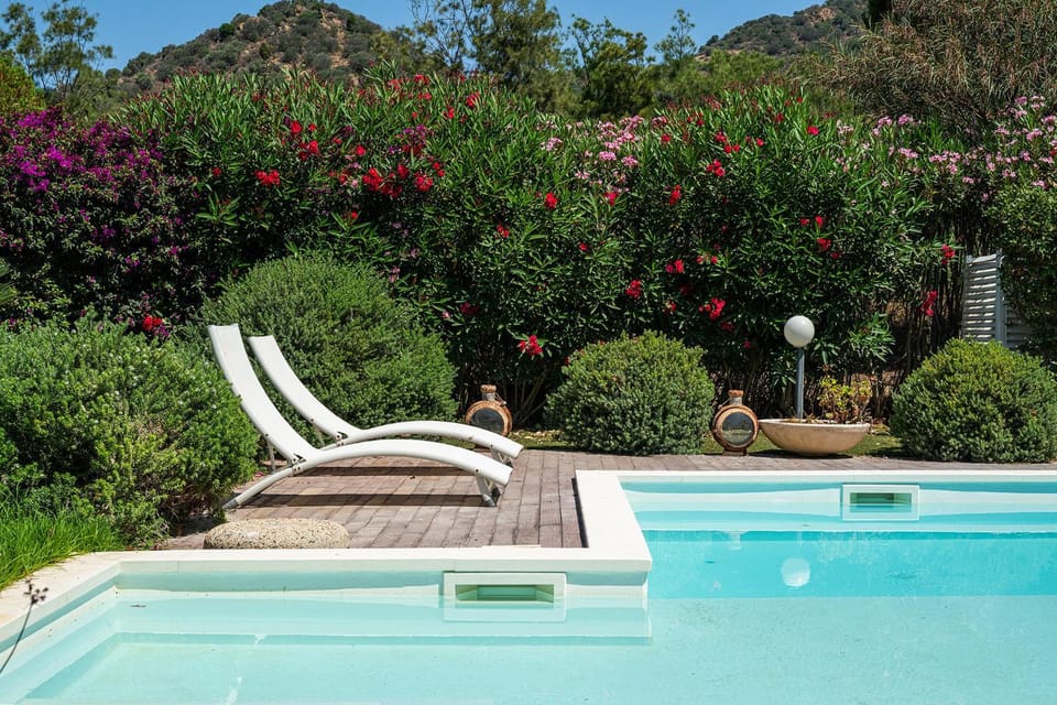 Spring, Natural landscape, Garden, Garden view, Mountain view, Pool view, Swimming pool, sunbed