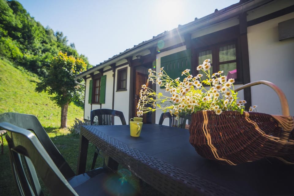 Garden, Garden view