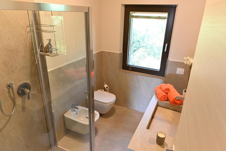 Shower, Toilet, Bathroom, bidet, towels