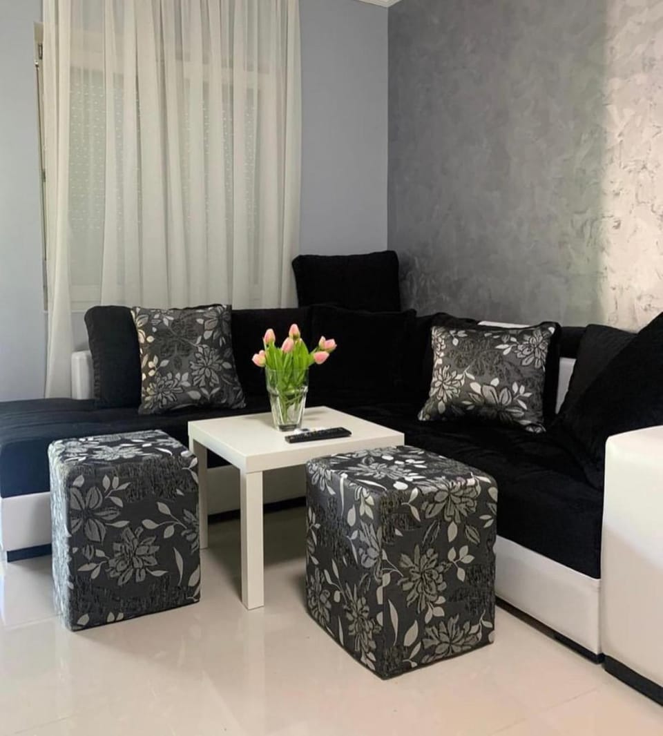 Vila Plaza- Luka Apartment in Vojvodina