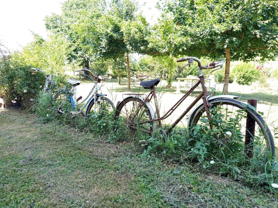 Domaine du Chat Qui Pète House in Nouvelle-Aquitaine
