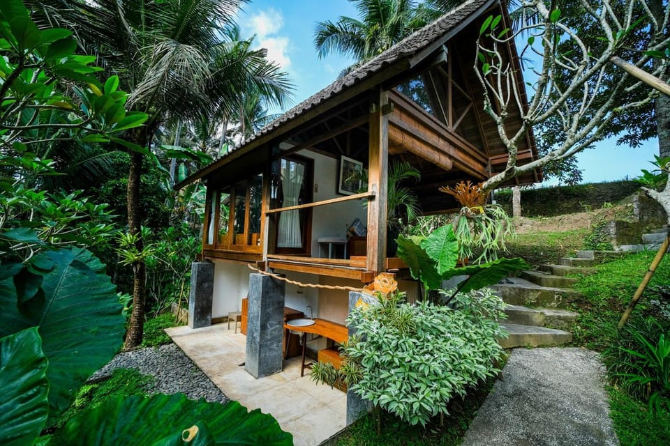 Property building, Spring, Day, Natural landscape, Garden, Garden view