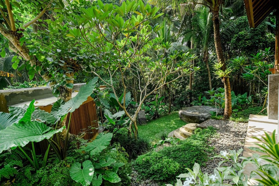 Spring, Day, Natural landscape, Garden, Garden view