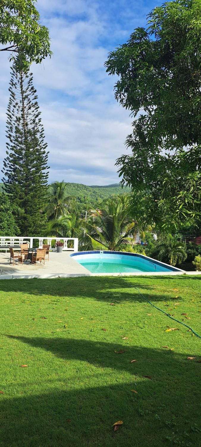 Summer, Garden, Swimming pool