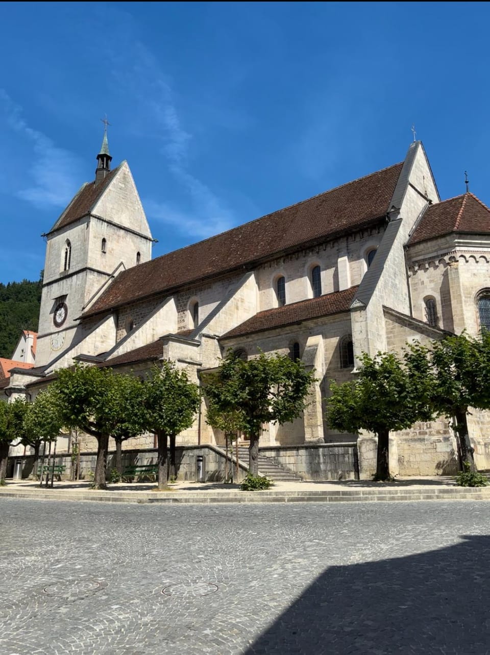 Hôtel-Restaurant de la Demi-Lune Hotel in Switzerland