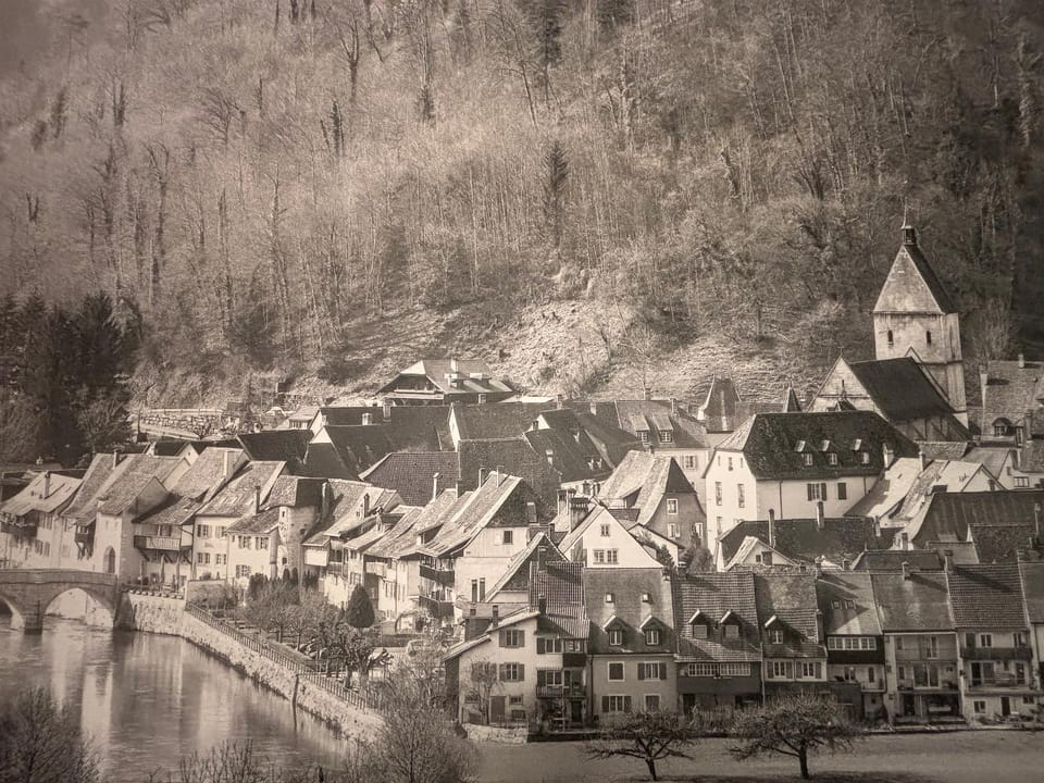 Hôtel-Restaurant de la Demi-Lune Hotel in Switzerland