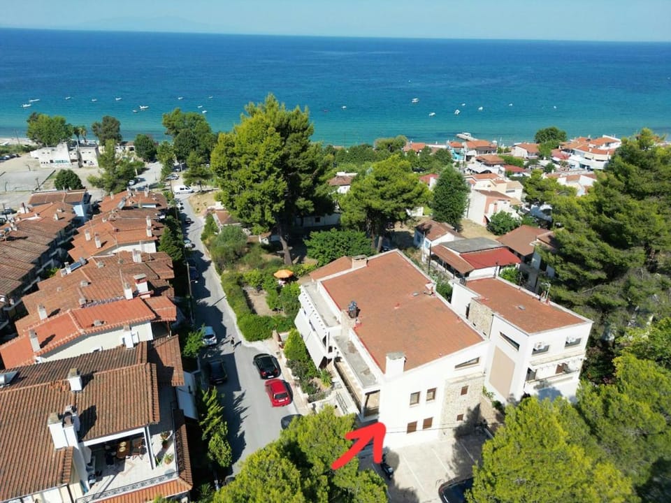 Bird's eye view, Sea view, Location