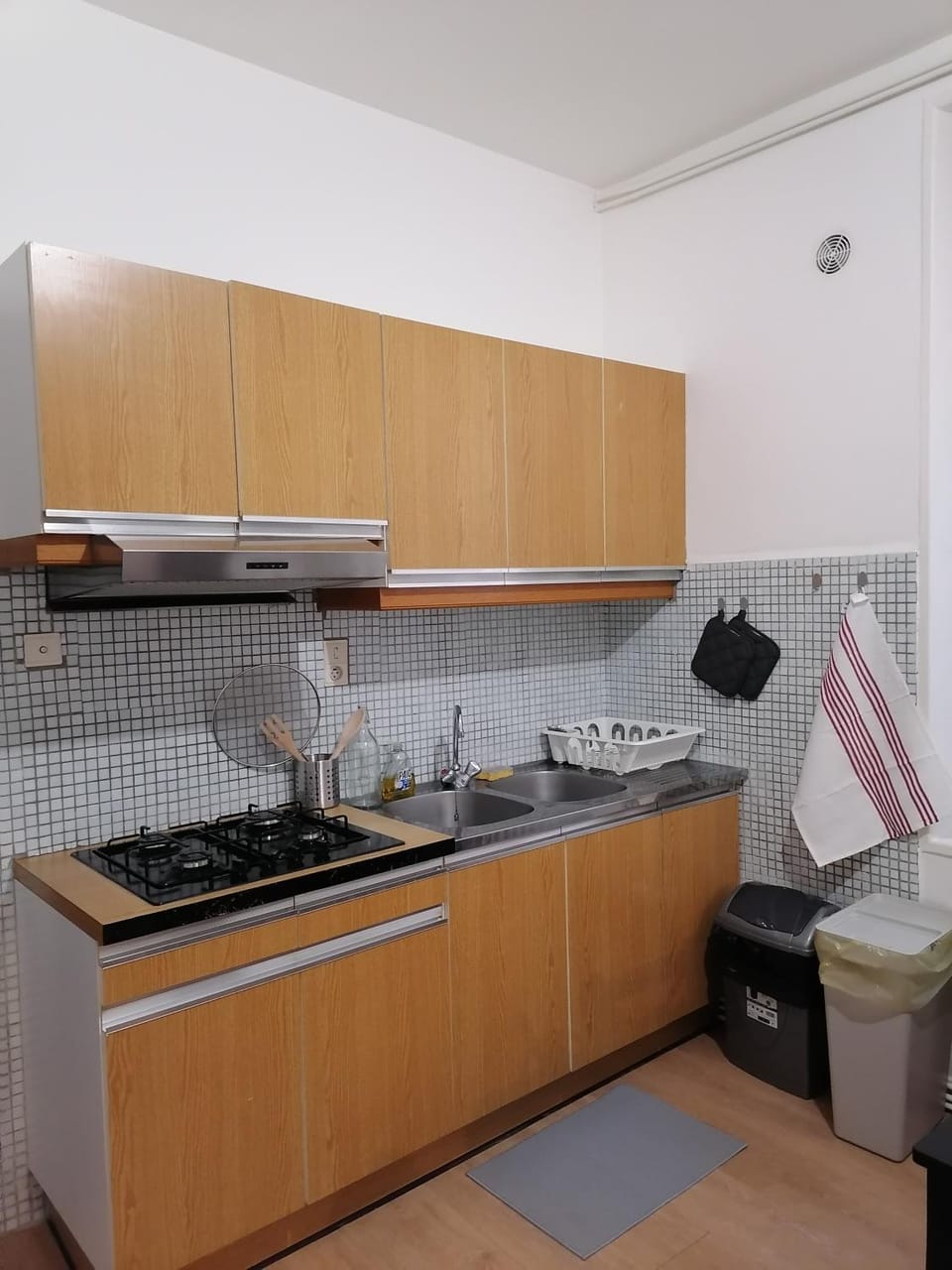 Appartement en centre ville Apartment in Auvergne-Rhône-Alpes