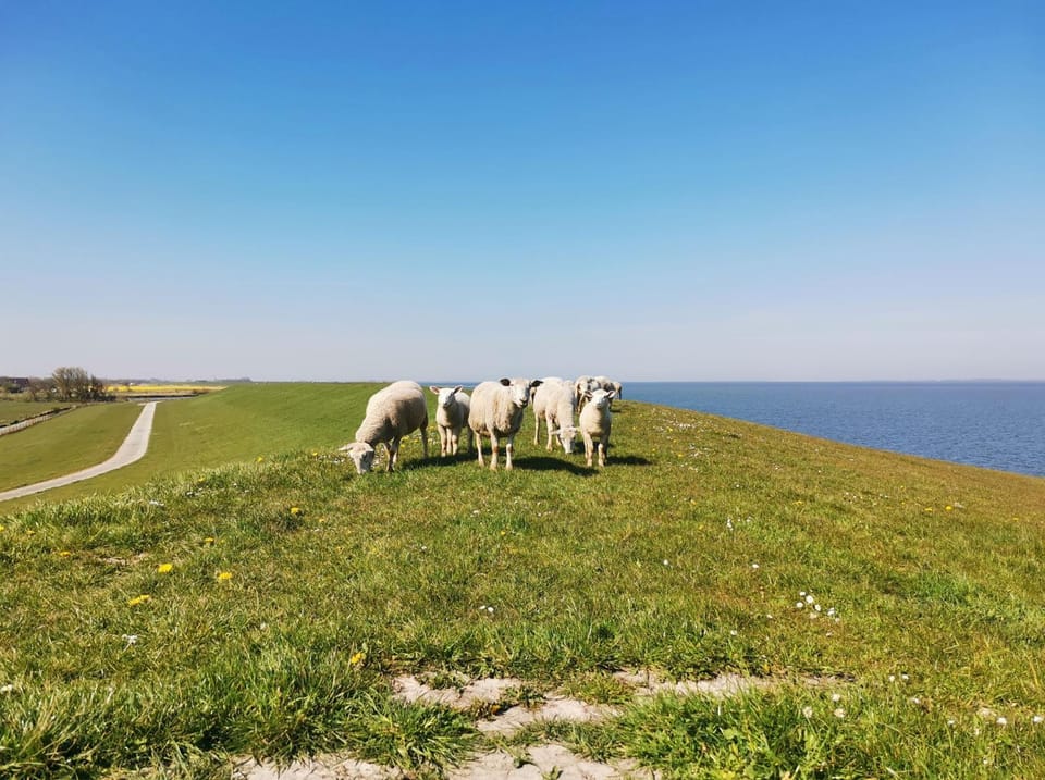 Natural landscape