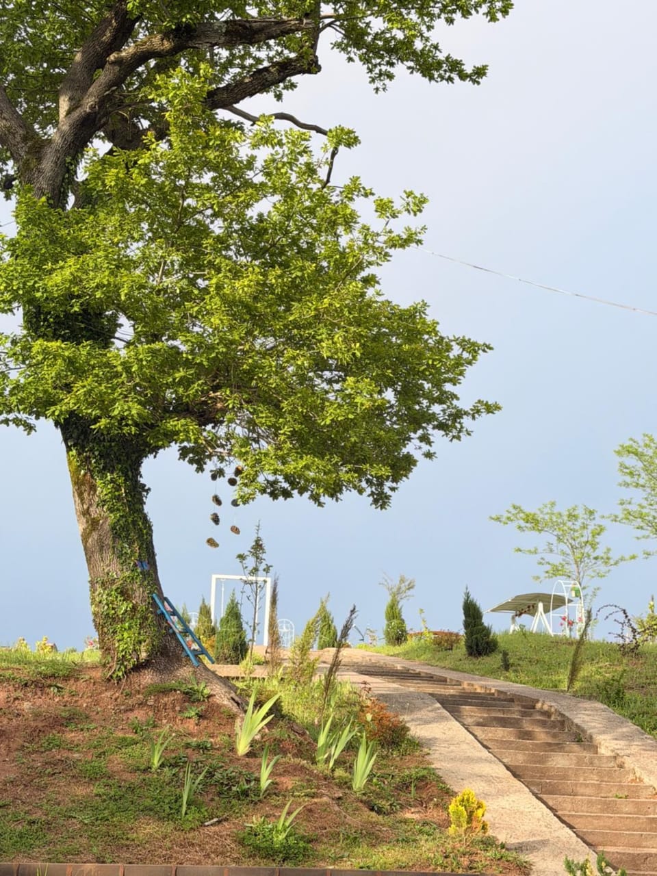 Spring, Day, Garden, Garden view, Sea view