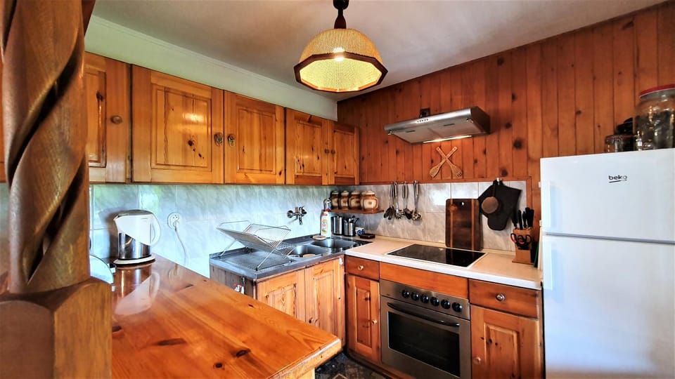 Kitchen or kitchenette, Dining area, oven, stove