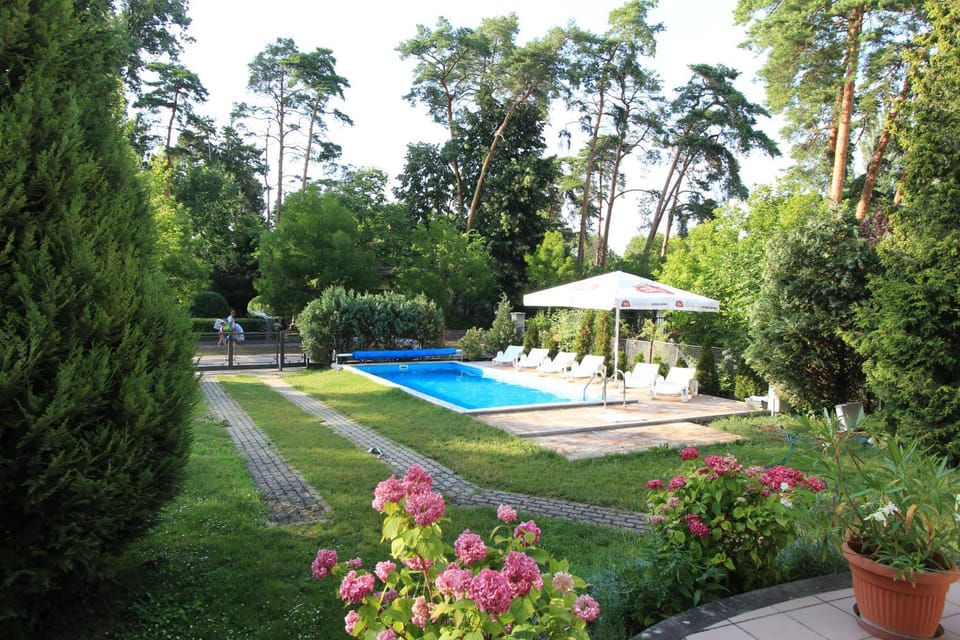 Pool view, Swimming pool
