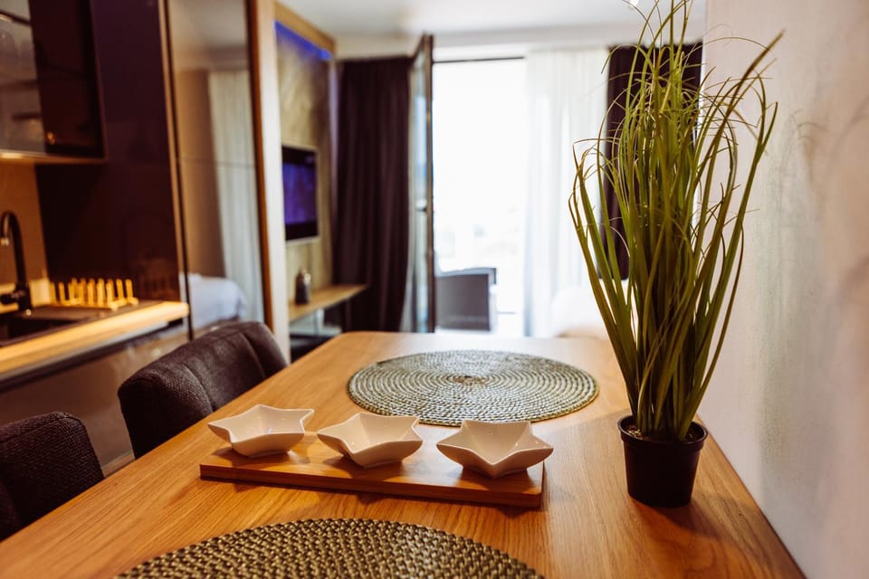 Grey Nest - Luxury Studio Apartment in Planet Residence, Niš Apartment in Serbia