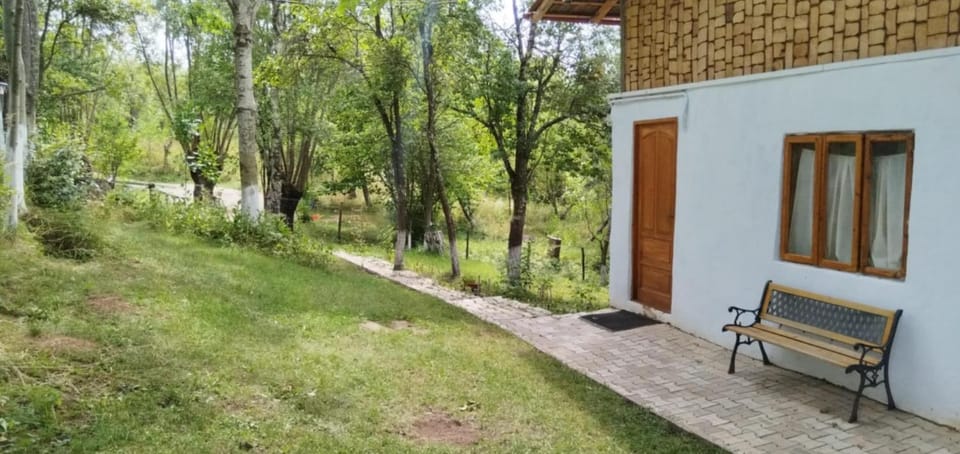 Mesteceni Glamping Campground/ 
RV Resort in Brașov County