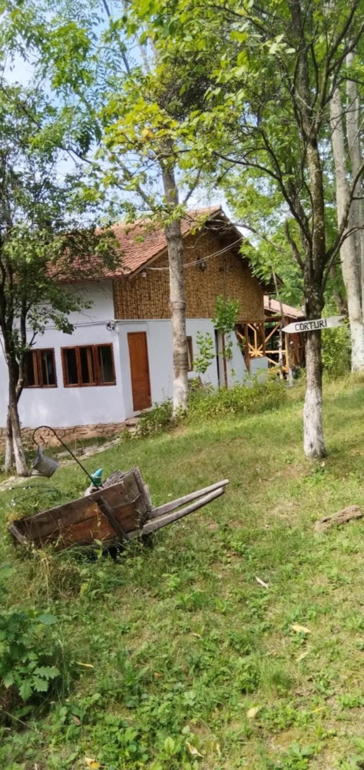 Mesteceni Glamping Campground/ 
RV Resort in Brașov County