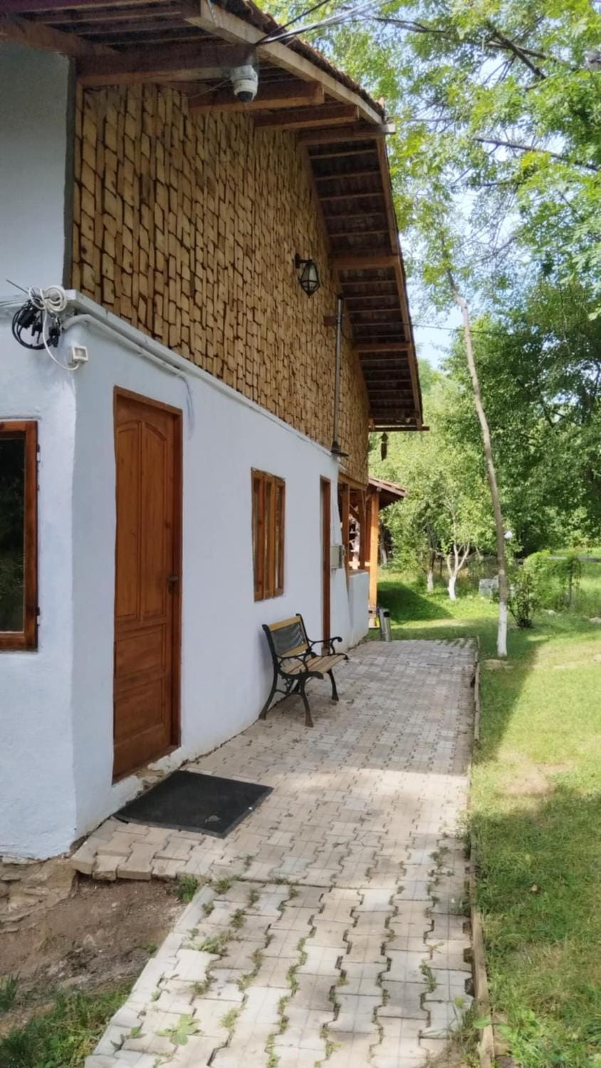 Mesteceni Glamping Campground/ 
RV Resort in Brașov County